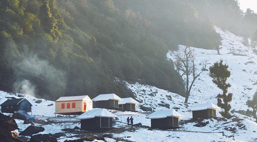 chopta wildlife and flora